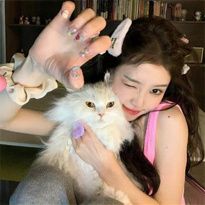 金牌贱猫：重新出击
